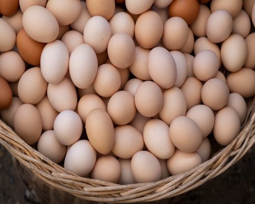 Fresh organic chicken eggs in a basket
